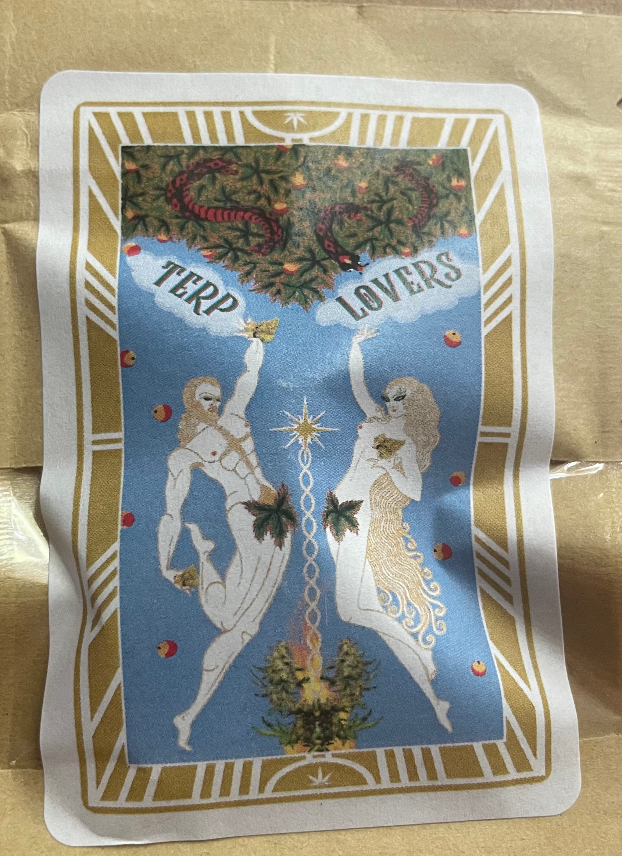 チェリーコーク&バドライト Bon Viv Spiked Seltzer, Black Cherry