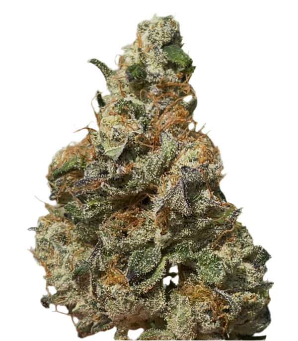Caramel Apple Gelato (Indoor)