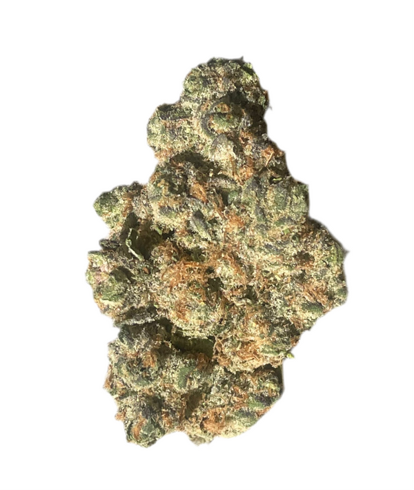 Orange Push Pop (Indoor)