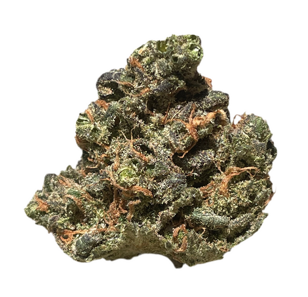 Glitter Glue (Indoor)