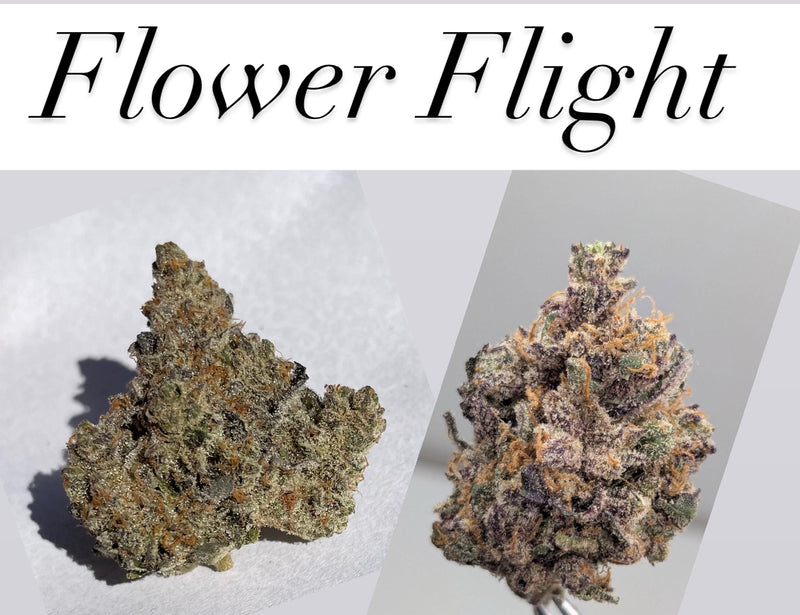 Flower Flight