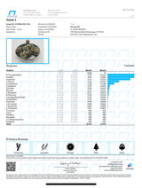 Jucee J (Caps Cut/Indoor)