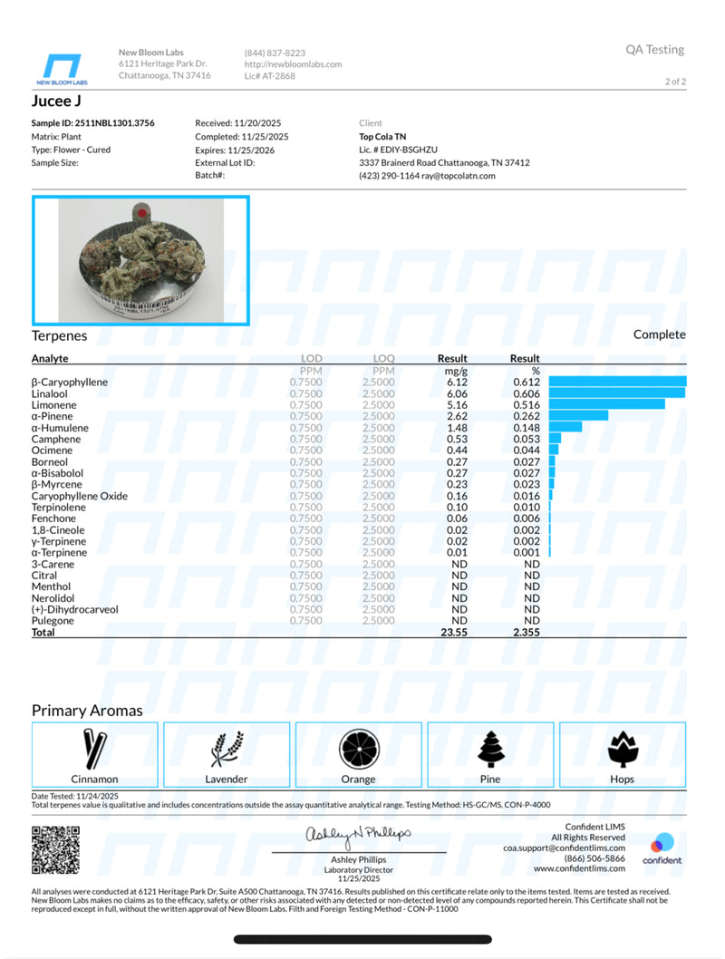 Jucee J (Caps Cut/Indoor)