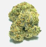 Justin Gushers (Indoor)