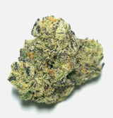 Purple Champagne (Indoor)