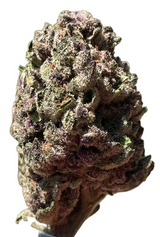 Tropicana Cookies (Budget)
