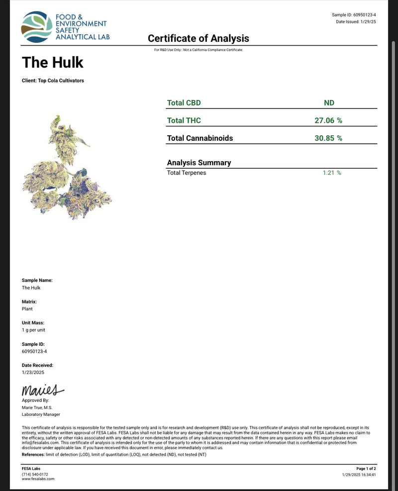 The Hulk (Indoor)