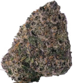Purple Push Pop (Indoor)