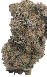 Sour Apple (Indoor)