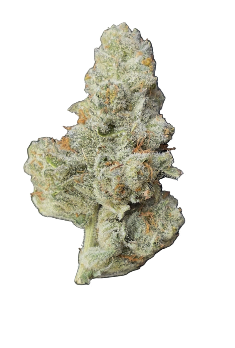 Goat Gas  (CapsCut/Indoor)