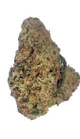 Mule Fuel (Indoor)