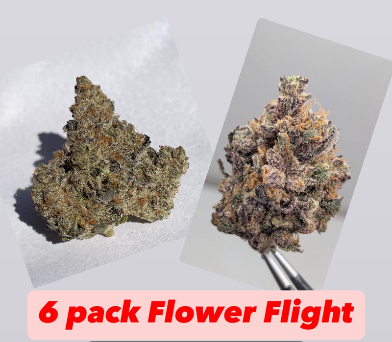 Flower Flight (6 pack)