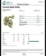 Caramel Apple Gelato (Indoor)