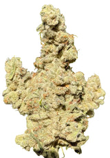 Goat Gas  (CapsCut/Indoor)