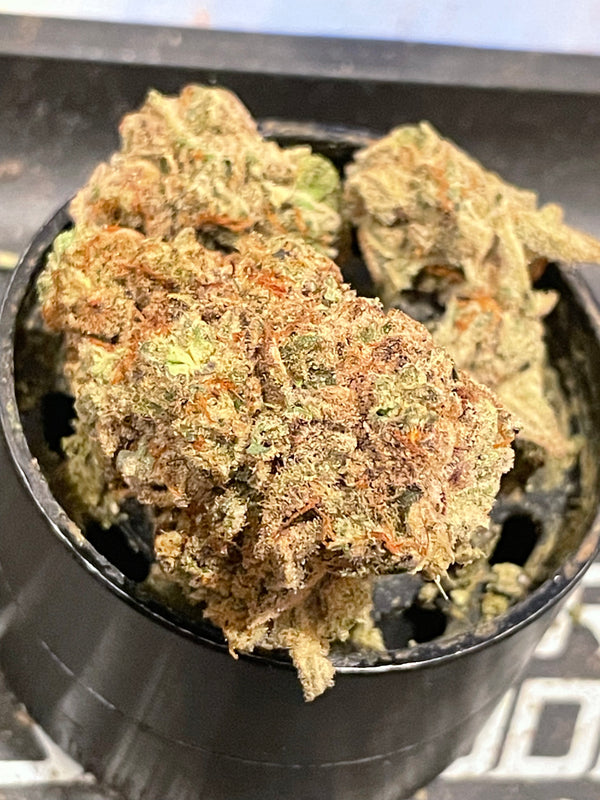 Mimosa