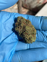 Amnesia Haze
