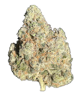 Coolio (Caps Cut/Indoor)