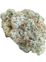 Coolio (Caps Cut/Indoor)