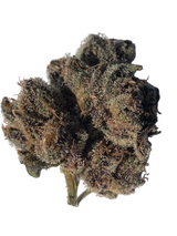 O-Face (Indoor)