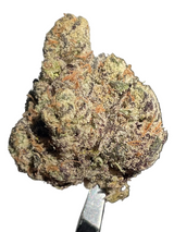 Pop Rocks (Indoor)