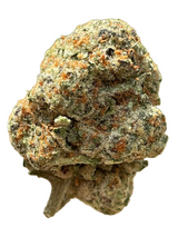 White Gelato (Indoor)