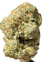 White Gelato (Indoor)