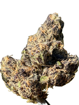 P33 (Indoor)