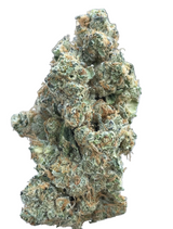Yoda OG (Indoor)