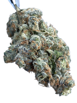 Yoda OG (Indoor)