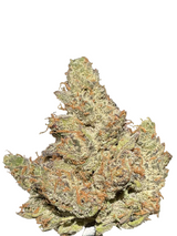 Pink Certz (Indoor)